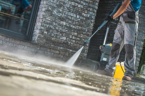 Best Animal Enclosure Cleaning  in Port Townsend, WA