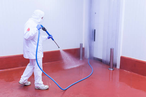  Port Townsend, WA Pressure Washing Pros